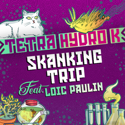 Buy Skanking trip